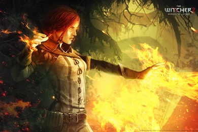 Download Wallpapers 3840x2400 The Witcher 2 Assassins Of Kings ...