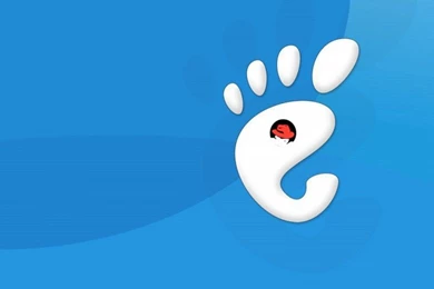 Wallpapers Paul Frank Wall Papel Iphone Redhat 800x600