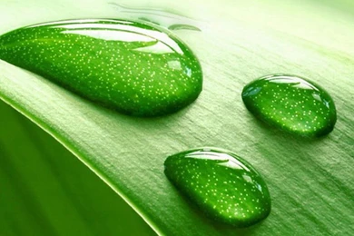 Green iPhone 6 Wallpapers HD