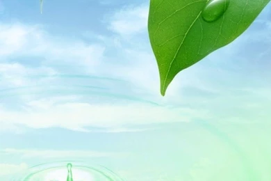 Free Iphone Wallpapers Hd: Cute Green Leaf And Water Hd Wallpapers ...