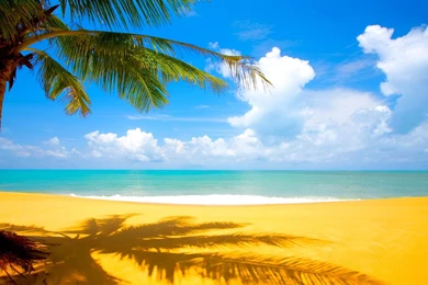 Top 10 Nature Wallpapers (3)