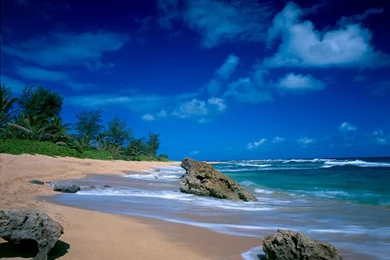 Free Tropical Desktop Backgrounds   Wallpapers Cave