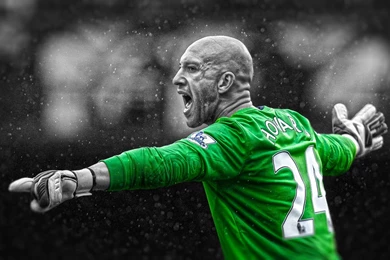 Tim Howard Wallpapers & Pictures