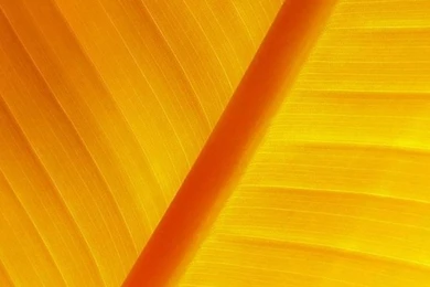 Artistic Iphone Retina Wallpapers Ios