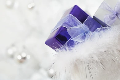 White Christmas   Christmas Ornaments & Decorations 1600x1200 NO ...