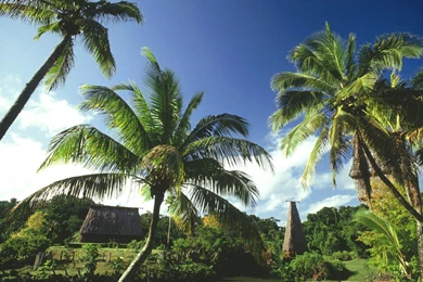 Nature Wallpapers: Free Iphone 4 Wallpapers Hd