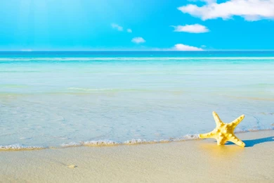 Beaches Wallpapers For PC 12779   HD Wallpapers Site