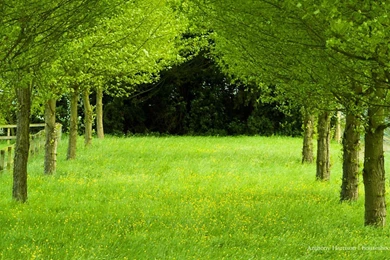 1920x1080 Hd Wallpapers Free Download,desktop Wallpapers