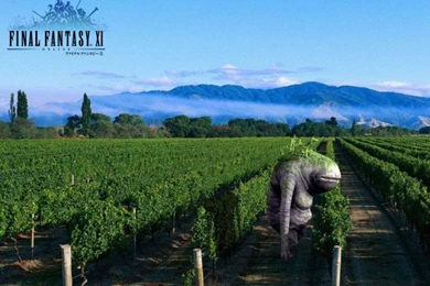 FFXI Photorealistic Desktops   MyConfinedSpace