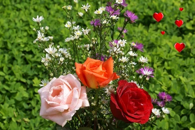 Love Wallpapers   Valentine Roses