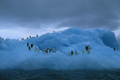 Ultra HD 4K Iceberg Wallpapers HD, Desktop Backgrounds 3840x2400