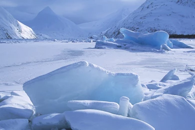 Alaska Iceberg Wallpapers   1680x1050 Wallpapers Download ...