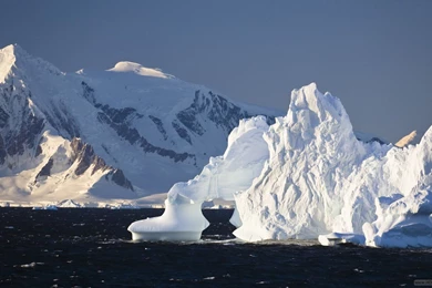 Top 26 Most Dashing And Shining ICeberg Wallpapers In HD