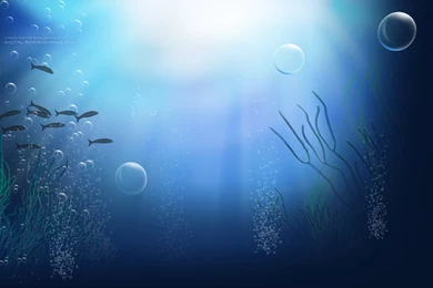 Nemo Land Twitter Backgrounds