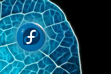 Download The Fedora Linux Wallpaper, Fedora Linux iPhone Wallpapers ...