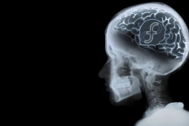 Smart Fedora Skull Xray Desktop Wallpapers