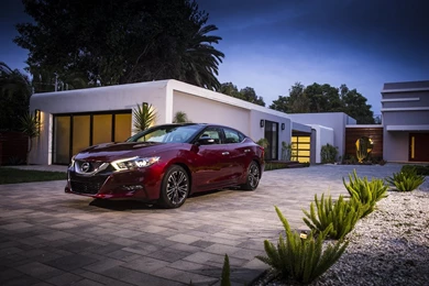 2016 Nissan Maxima Cars Sedan Wallpapers