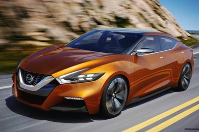 Nissan Maxima 2015 Coupe   Image
