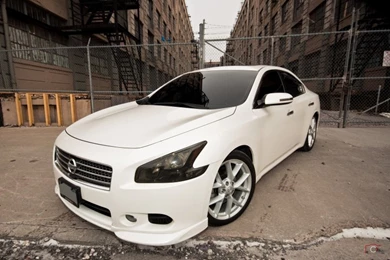 2009 Nissan Maxima Pictures, Mods, Upgrades, Wallpapers   DragTimes.com