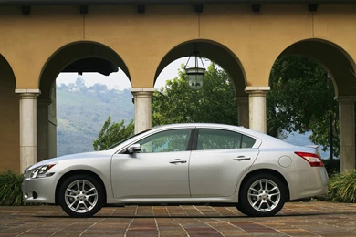 Nissan Maxima Picture