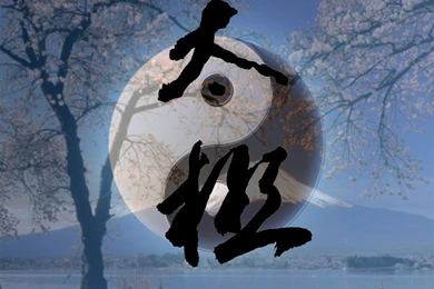 Tai Chi Wallpapers By Salumbri On DeviantArt