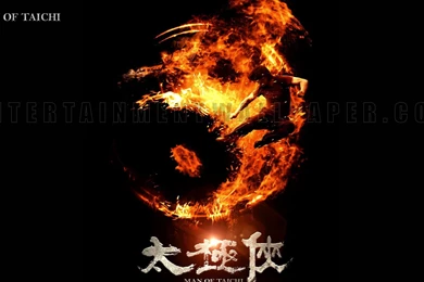Man Of Tai Chi Wallpapers