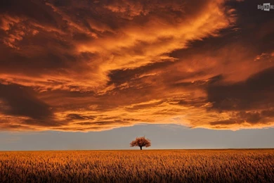 Unreal Sunset HD Wallpapers