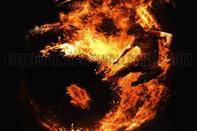 Man Of Tai Chi Wallpapers