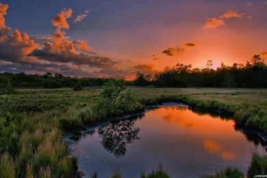 Nature PC Wallpapers   Widescreen HD Wallpapers