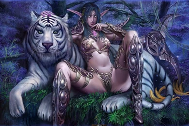 World Of Warcraft Artwork Varian Wrynn 1680x1050 Wallpapers – Video ...