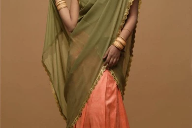 South Actress Bindu Wallpapers In Saree, ~ Movie Galleriz