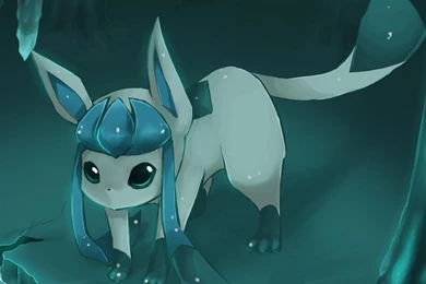 Glaceon   (