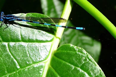 Dual Monitor Wallpapers Software 16306 HD Wallpapers