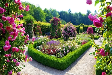 Nature Nature Wallpapers For Desktop Hd – Fine HD Wallpapaper RR