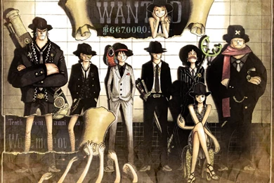 Wallpapers Straw Hat Pirates The Strawhat .4 1152x864
