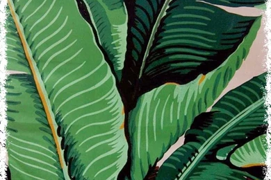 Beverly Hills Hotel Wallpapers   Wallpapers : Cool Wallpapers ...