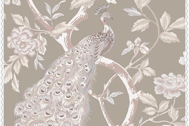 Shand Kydd Wallpapers   Wallpapers : Cool Wallpapers