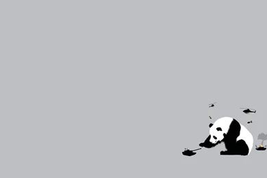 Download Panda Bears Wallpapers 1920x1080