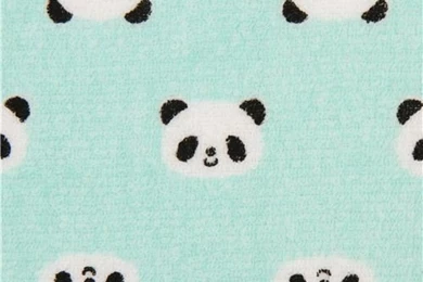 Pandas♥ On Pinterest