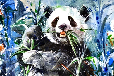 Bears Wallpapers Page 62: Bear Food Ted Grizzly Fish Polar Cub ...