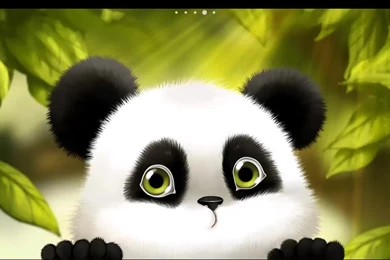 Panda Wallpapers Collection (39+)