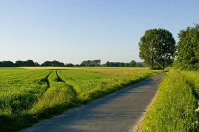 Hd Nature Images Collection (41+)