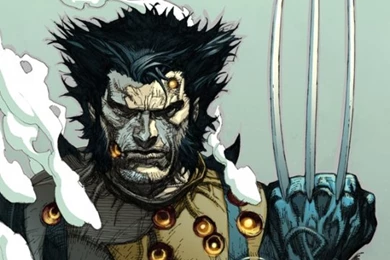 Download Wallpapers 540x960 Wolverine, The Incredible Hulk, Marvel ...