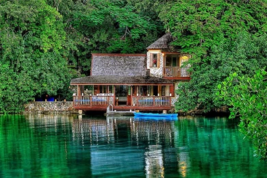 Jamaica State Bird Wallpapers Free Hd