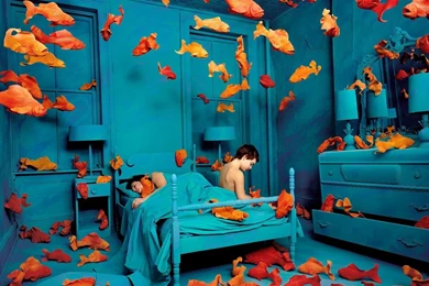 Download The Fish Tank Life Wallpaper, Fish Tank Life iPhone ...