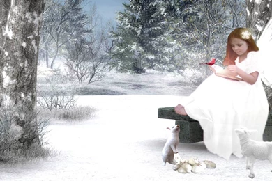 Christmas Angels Wallpapers 2015   Grasscloth Wallpapers