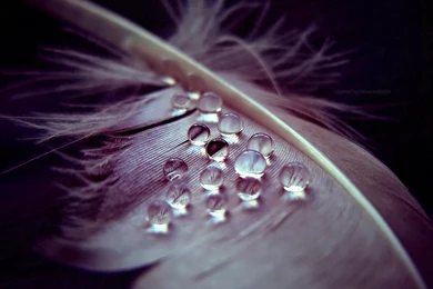 Weeping Angel II By JoannaRzeznikowska On DeviantArt