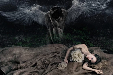 An Angel Cries Wallpapers And Images   Wallpapers, Pictures, Photos