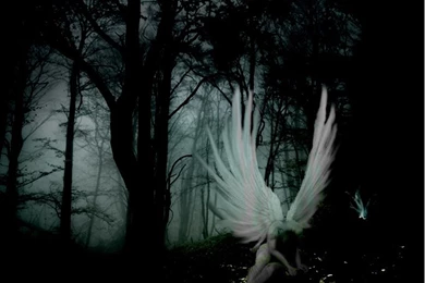 Devious Collection 4 Favourites By Scarsliehidden On DeviantArt