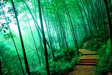 Lamborghini High Wallpapers Full HD   Ndemok.com